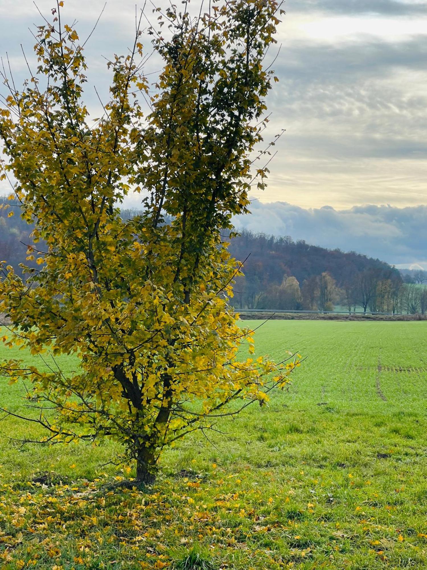 Fewo Uettingen Mitte Luaran gambar